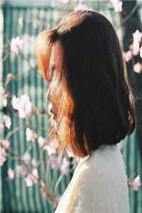 连载至361《桃花马上请长缨》宋惜惜